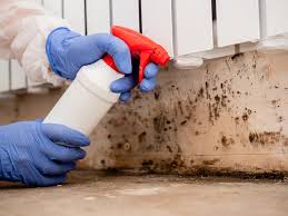 Mold Odor Removal Services in Cove Creek, NC